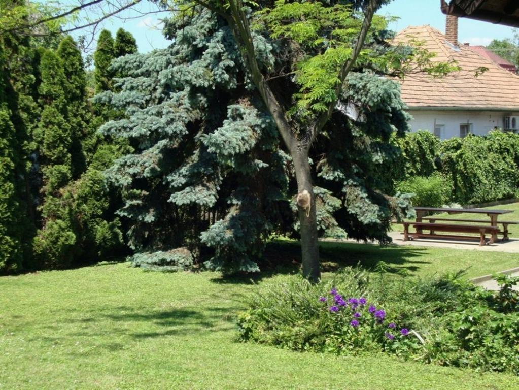 Gyongyvirag Vendeghaz Apartment Balatonboglar Luaran gambar